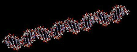 molecule-29dea